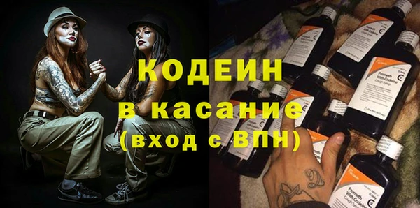 хмурый Покачи